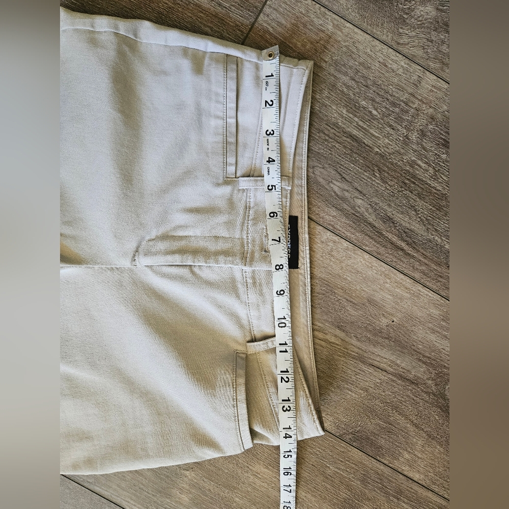 Express cropped pants